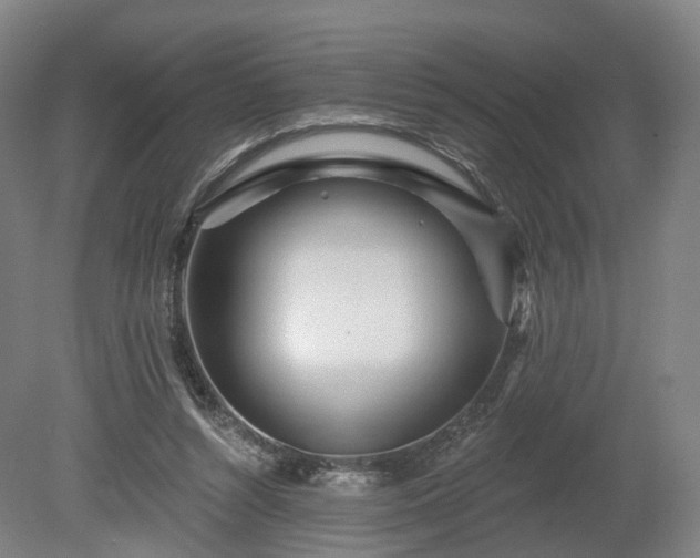 X0000080100352200612151627