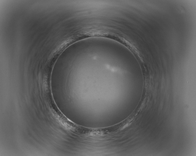 X0000080100353200612151627