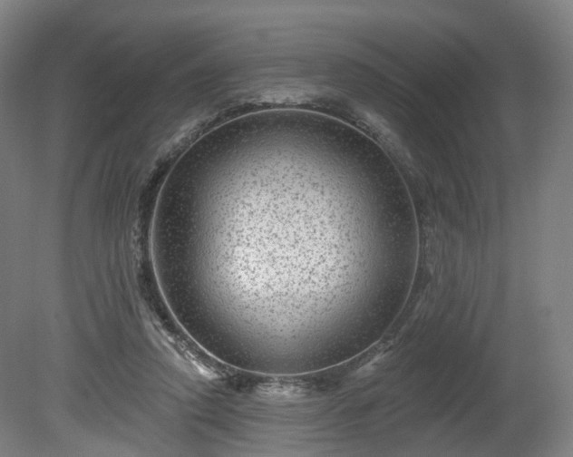 X0000080100354200612151627