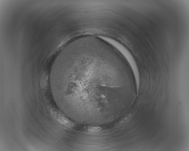 X0000080100355200612151627