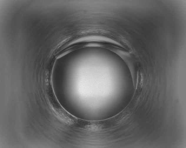 X0000080100356200612151627