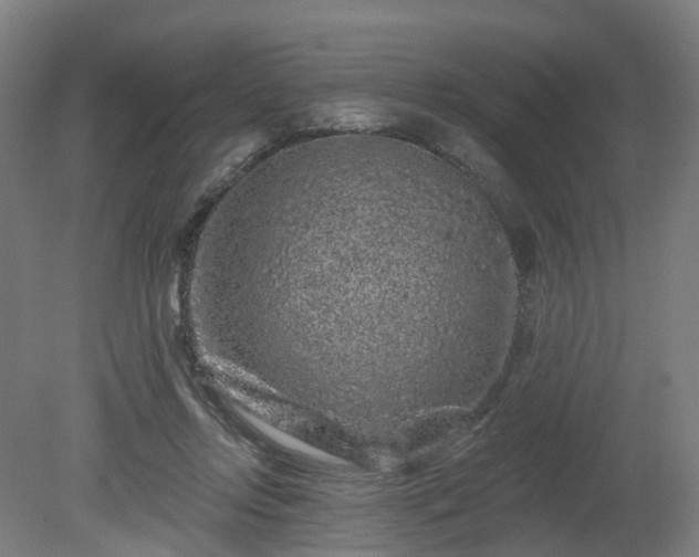 X0000080100358200612151627