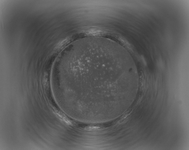 X0000080100361200612151627