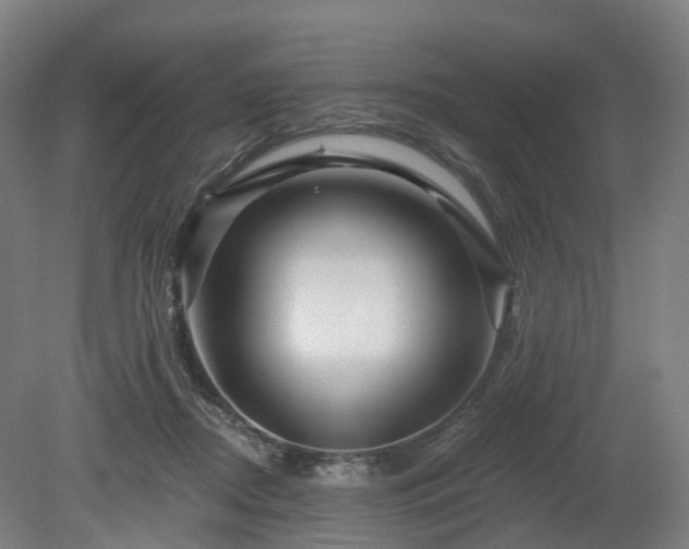 X0000080100362200612151627