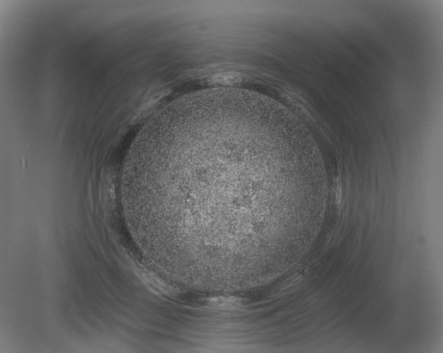 X0000080100363200612151627