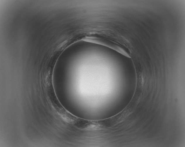 X0000080100364200612151627