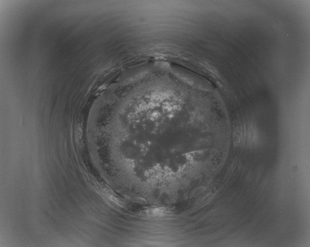 X0000080100365200612151627