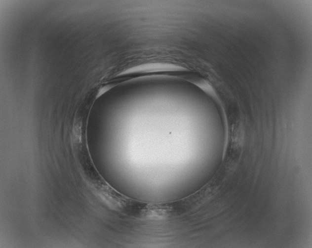 X0000080100368200612151627