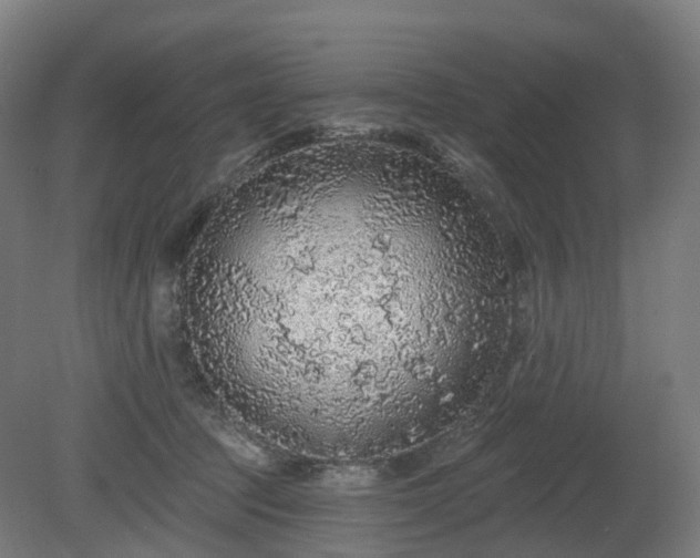 X0000080100369200612151627