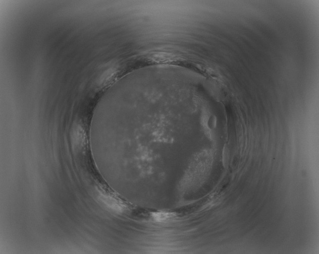 X0000080100371200612151627