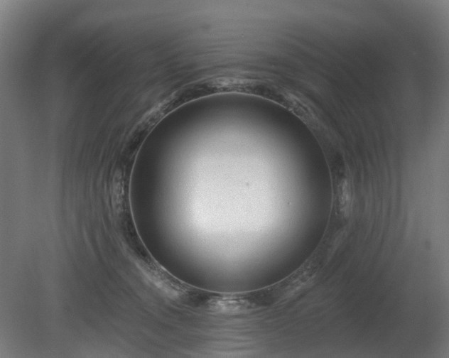 X0000080100372200612151627