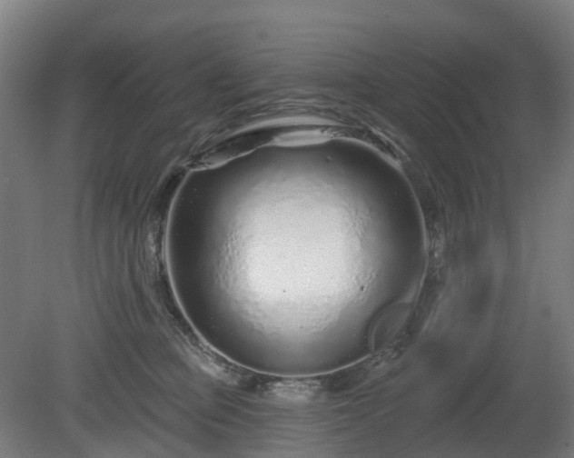 X0000080100373200612151627