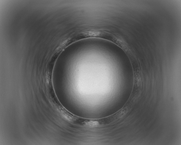 X0000080100374200612151627