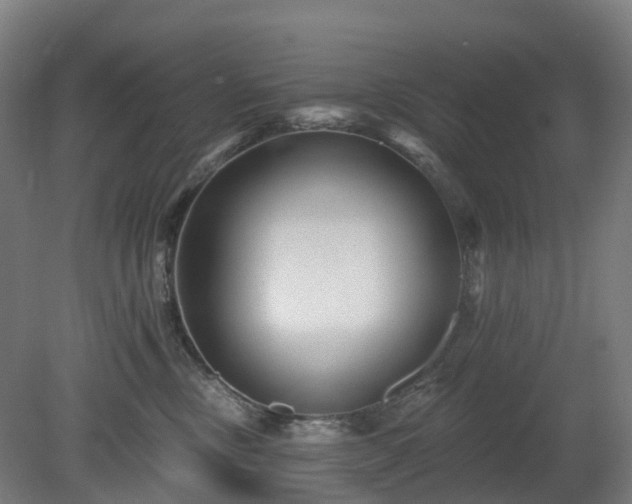 X0000080100378200612151627