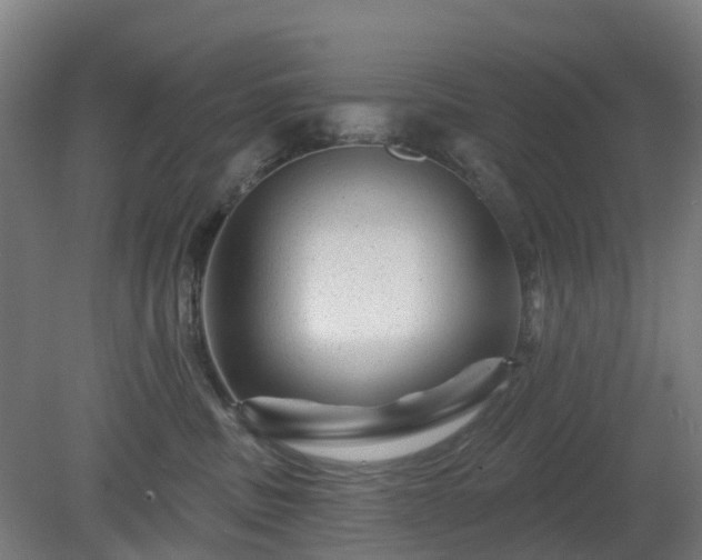 X0000080100379200612151627