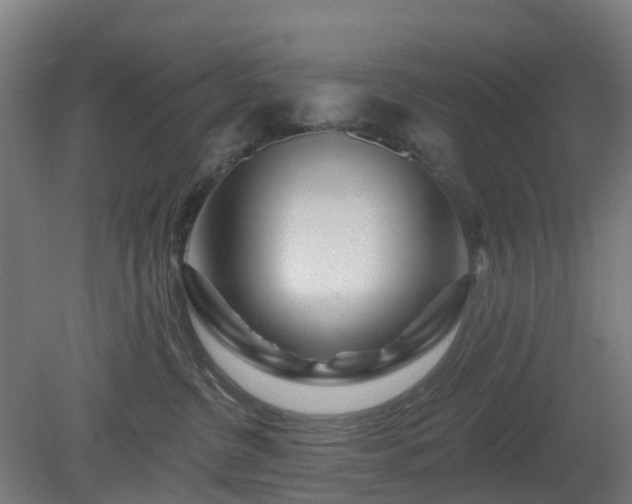 X0000080100380200612151627