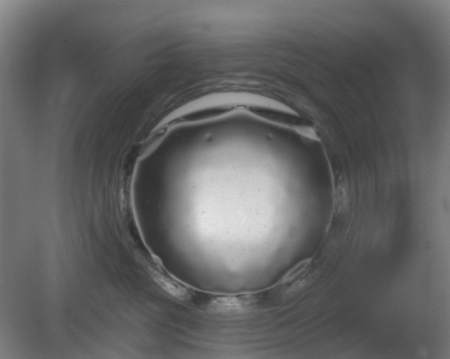 X0000080100381200612151627