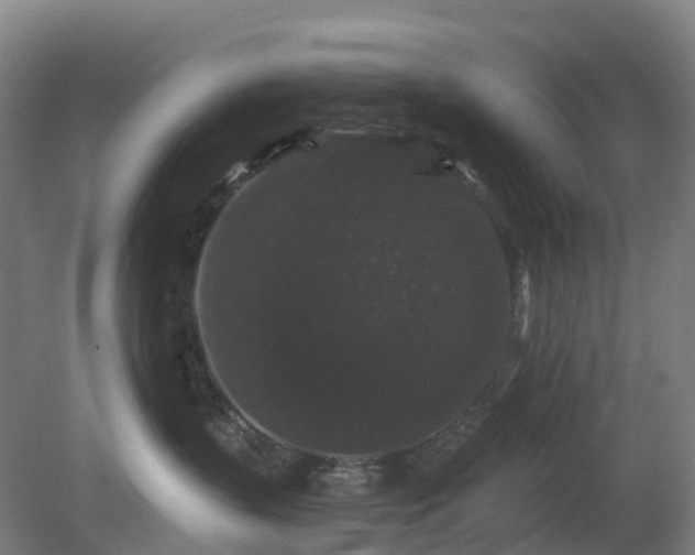 X0000080100383200612151627