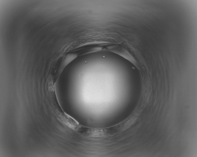 X0000080100384200612151627