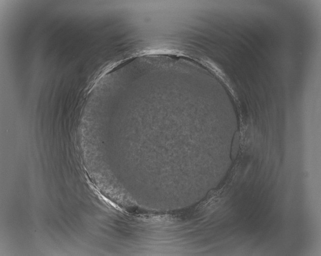 X0000080100385200612151626