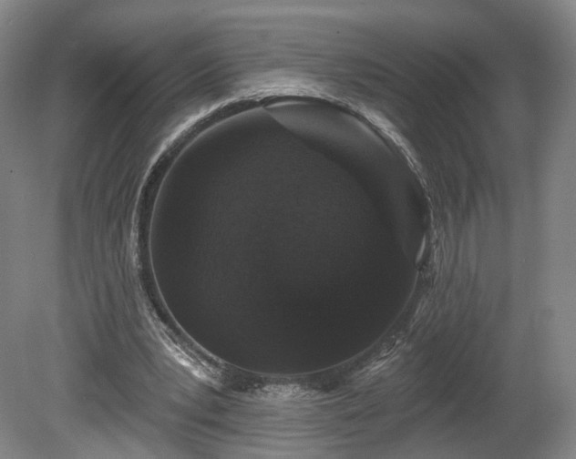 X0000080100391200612151626