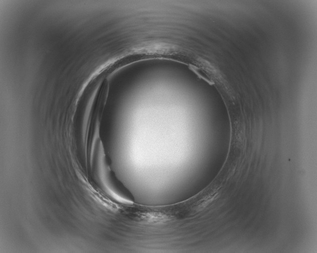 X0000080100392200612151626