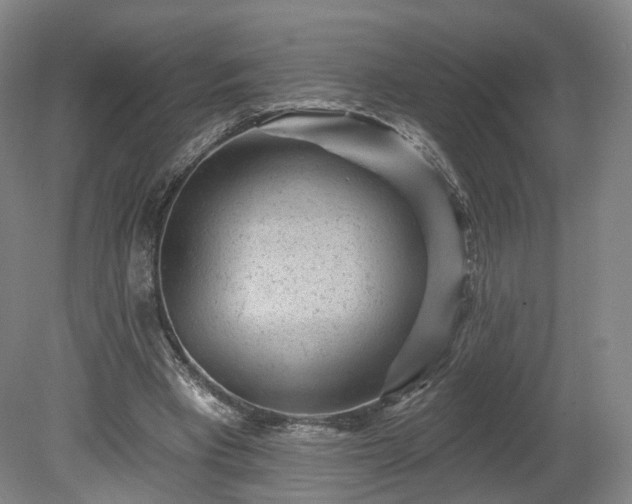 X0000080100393200612151626