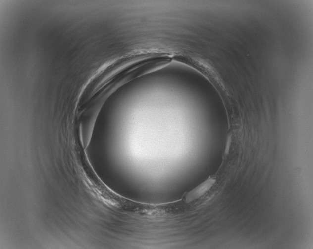 X0000080100395200612151626