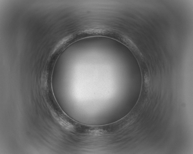 X0000080100396200612151626