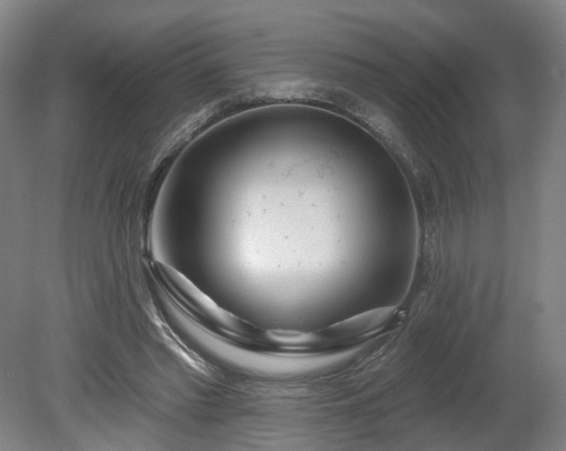 X0000080100397200612151626