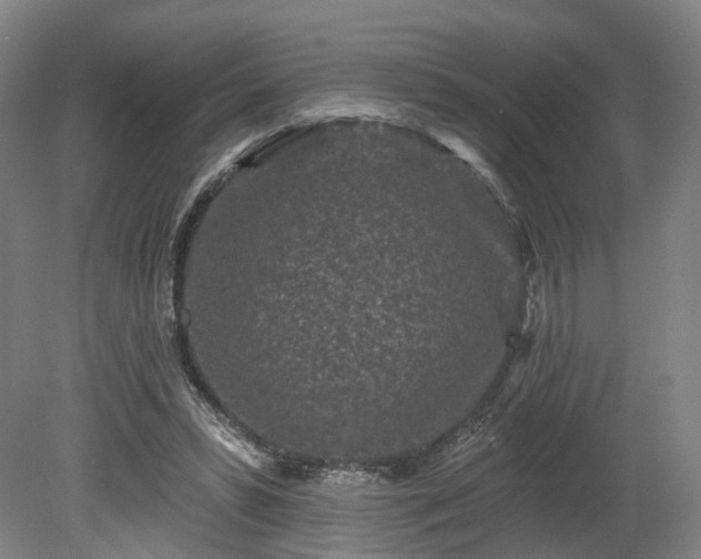 X0000080100399200612151626