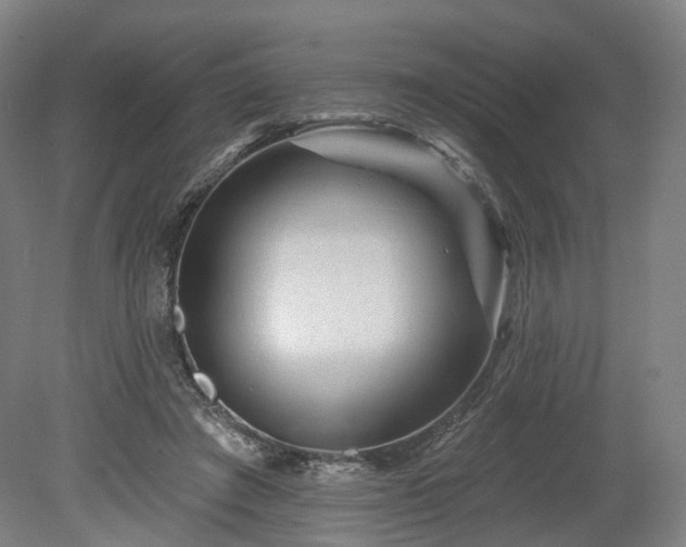 X0000080100401200612151626