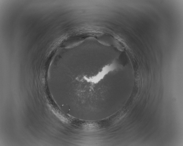 X0000080100402200612151626