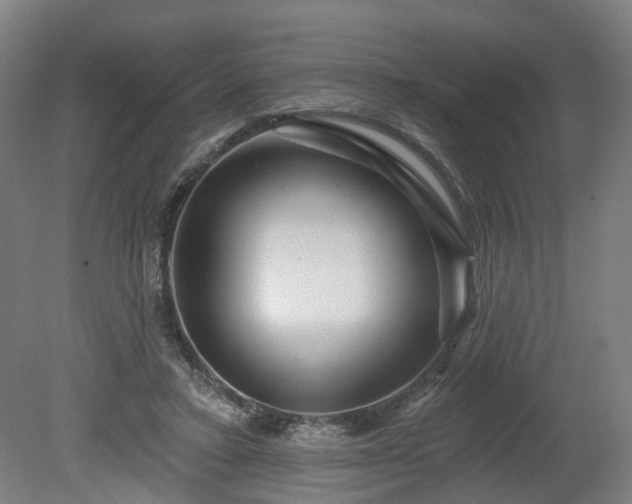 X0000080100403200612151626