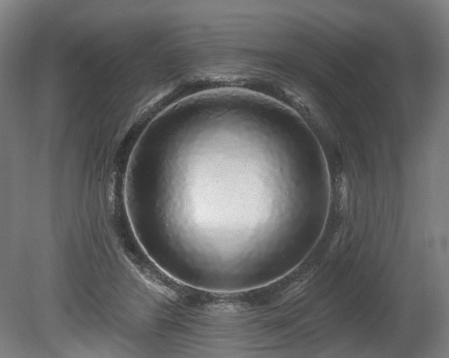 X0000080100404200612151626