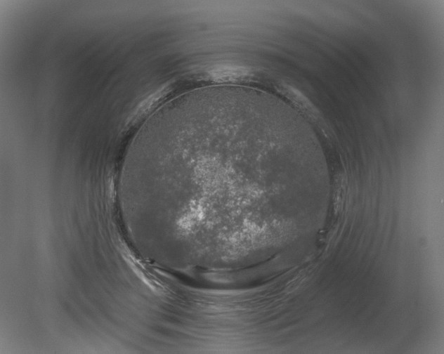 X0000080100405200612151626