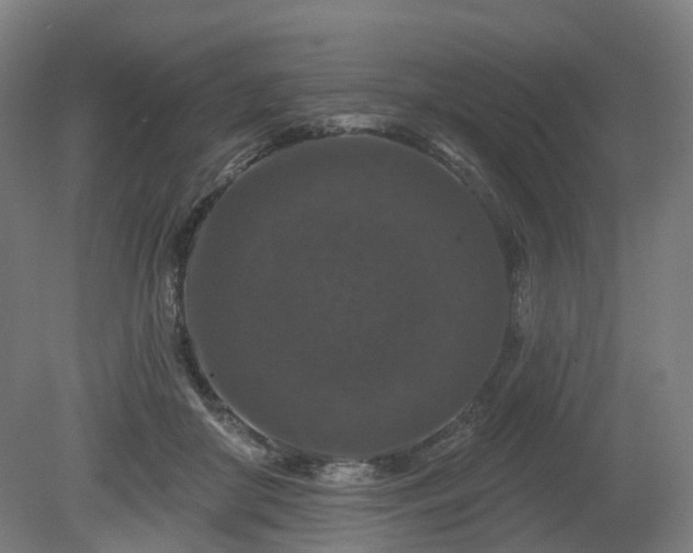 X0000080100410200612151626