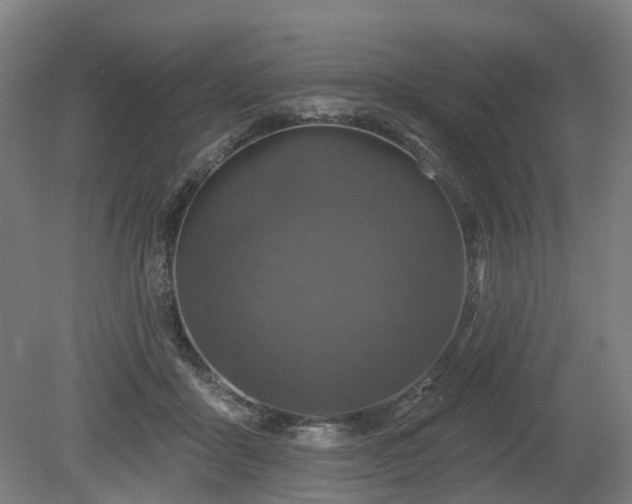 X0000080100411200612151626