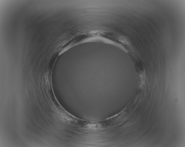 X0000080100415200612151626