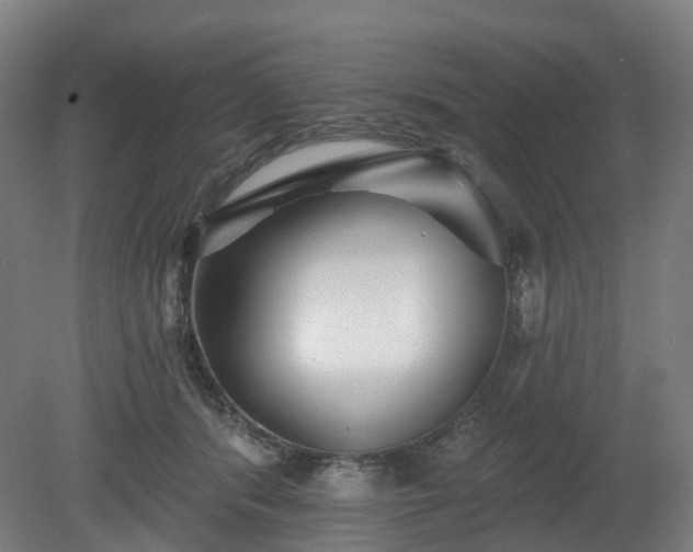 X0000080100416200612151626