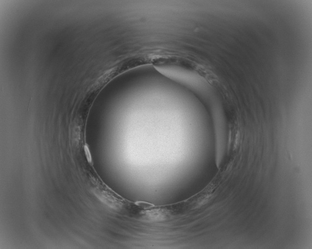 X0000080100417200612151626