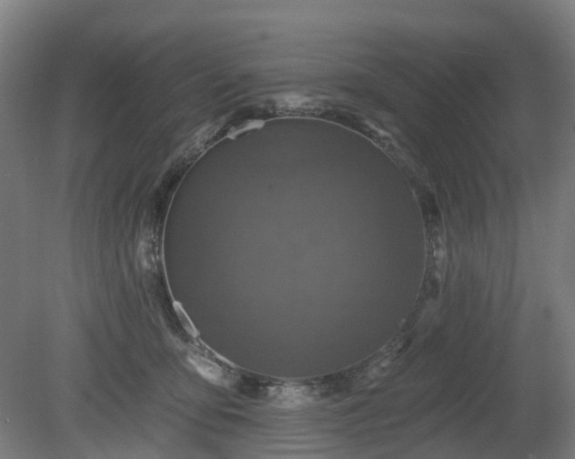 X0000080100419200612151626