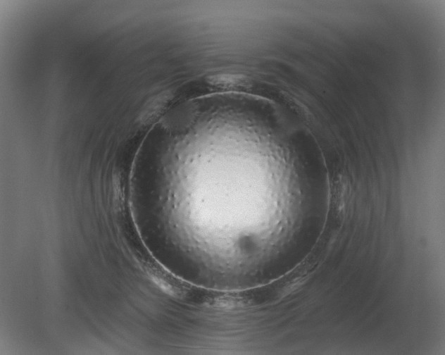 X0000080100420200612151626