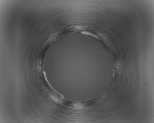 X0000080100423200612151626