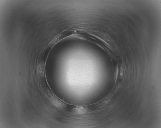 X0000080100425200612151626