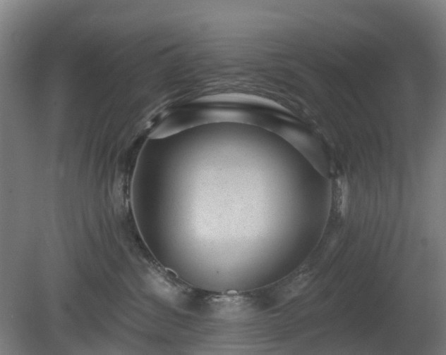 X0000080100428200612151626