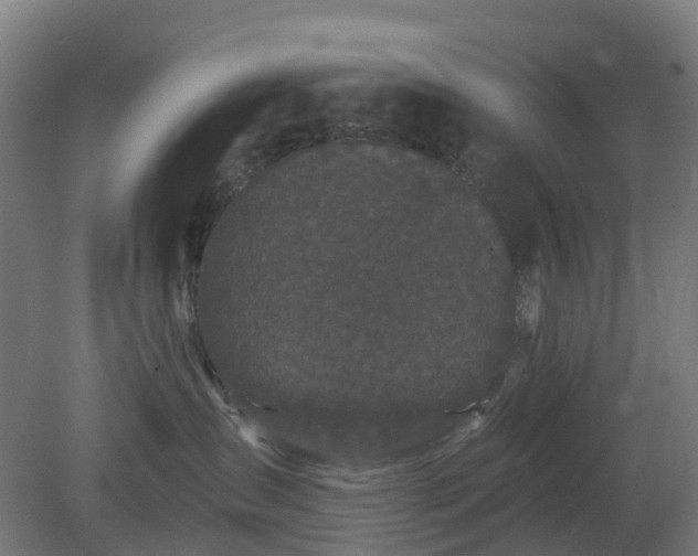 X0000080100431200612151626