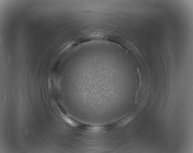 X0000080100432200612151626