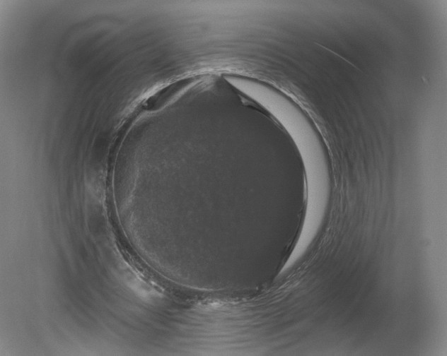 X0000080100434200612151625