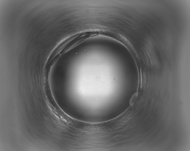 X0000080100435200612151625